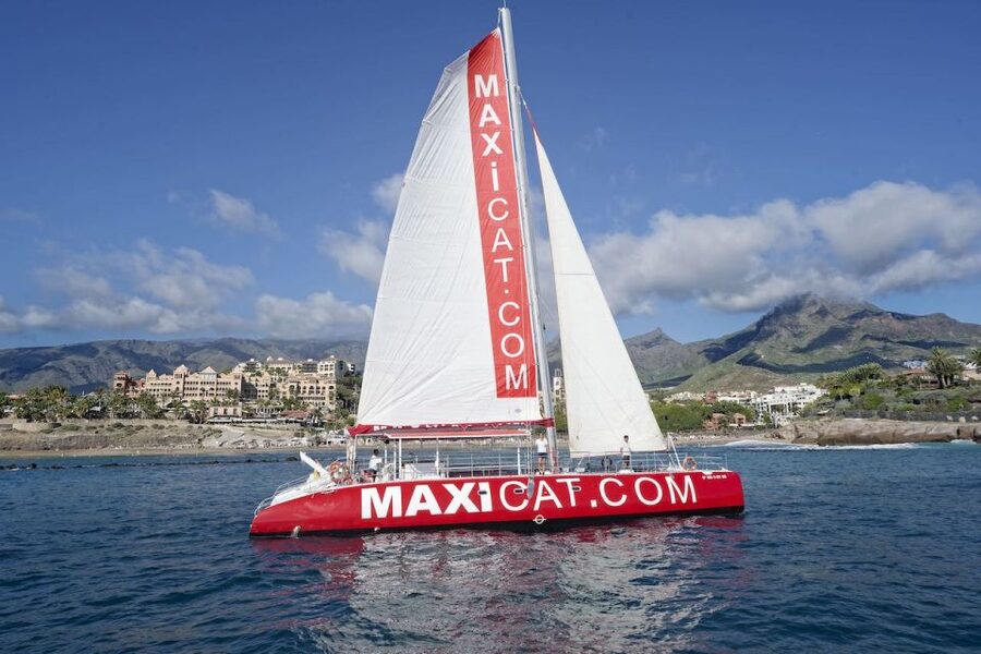 Costa Adeje: Whale and Dolphin Cruise with Food and Pickup - Setting out from Puerto Colón
