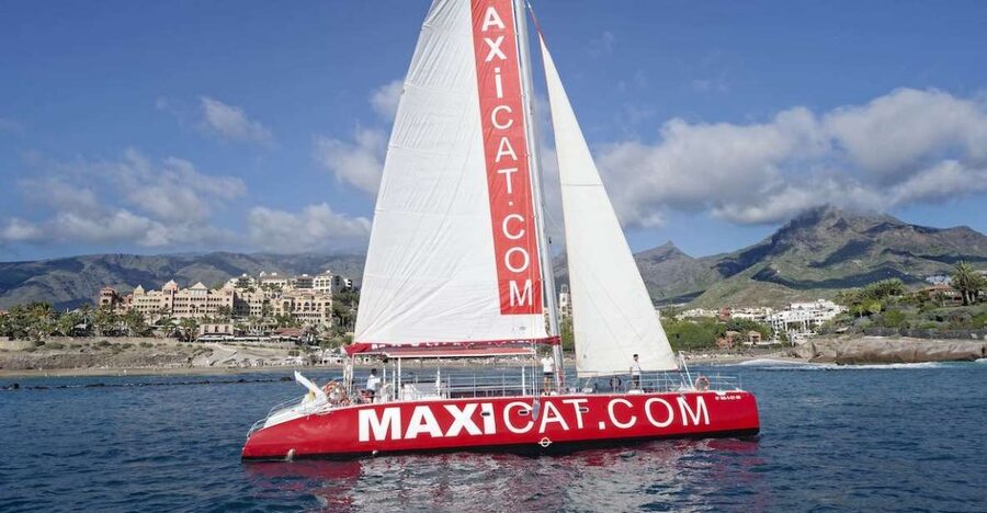 Costa Adeje: Whale and Dolphin Cruise with Food and Pickup - Swimming at Diego Hernández Bay