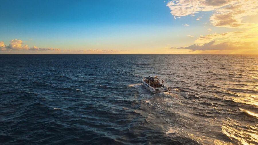 Costa Adeje: Whale and Dolphin-Watching Boat Excursion - A sandwich, a drink, and two hours at sea