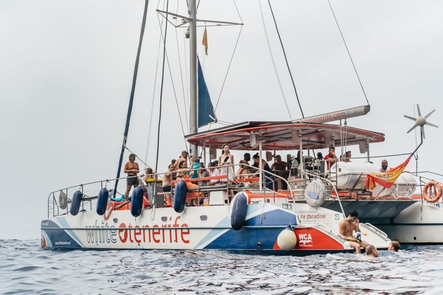 Costa Adeje: Whale & Dolphin Eco-Cruise with Snacks & Drinks - From Puerto Colón into the whale sanctuary