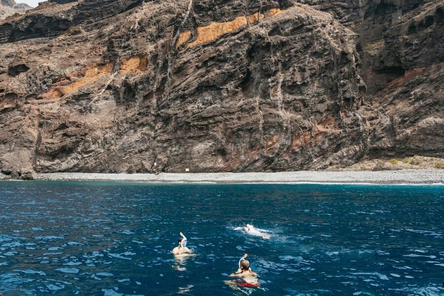 Costa Adeje: Whale & Dolphin Eco-Cruise with Snacks & Drinks - Wildlife encounters depend on patience