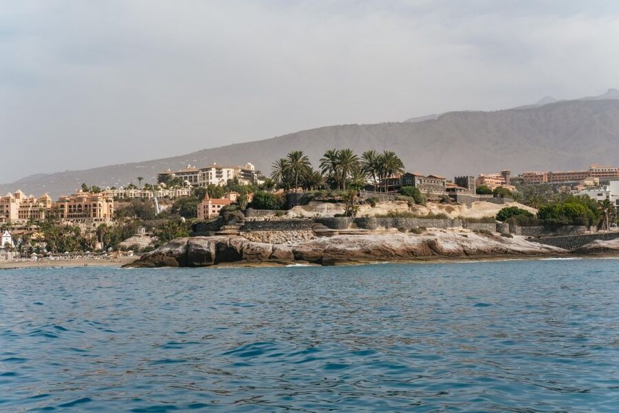 Costa Adeje: Whale & Dolphin Eco-Cruise with Snacks & Drinks - Who should book this cruise?