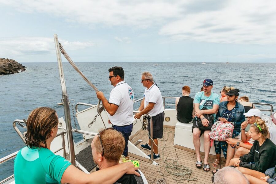 Costa Adeje: Whale & Dolphin Submarine Vision Mini Cruise - Is $35 a fair price?