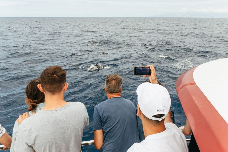 Costa Adeje: Whale & Dolphin Submarine Vision Mini Cruise - Comfort, families and seasickness