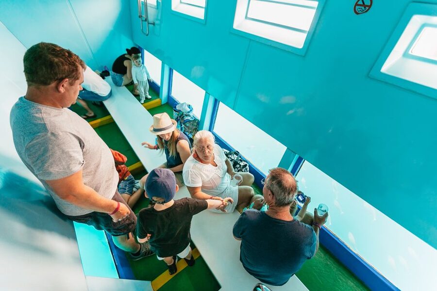 Costa Adeje: Whale & Dolphin Submarine Vision Mini Cruise - Accessibility and practical details
