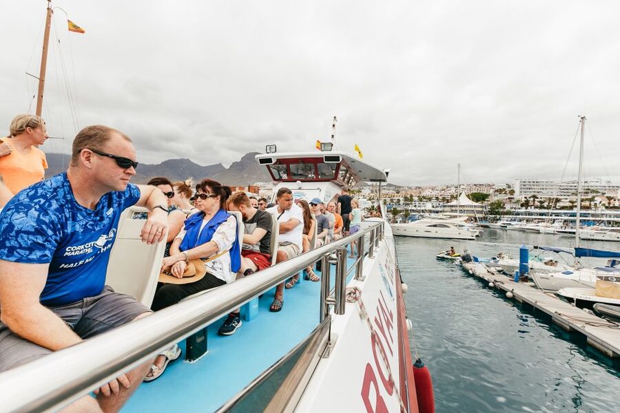 Costa Adeje: Whale & Dolphin Submarine Vision Mini Cruise - Who should book this cruise?