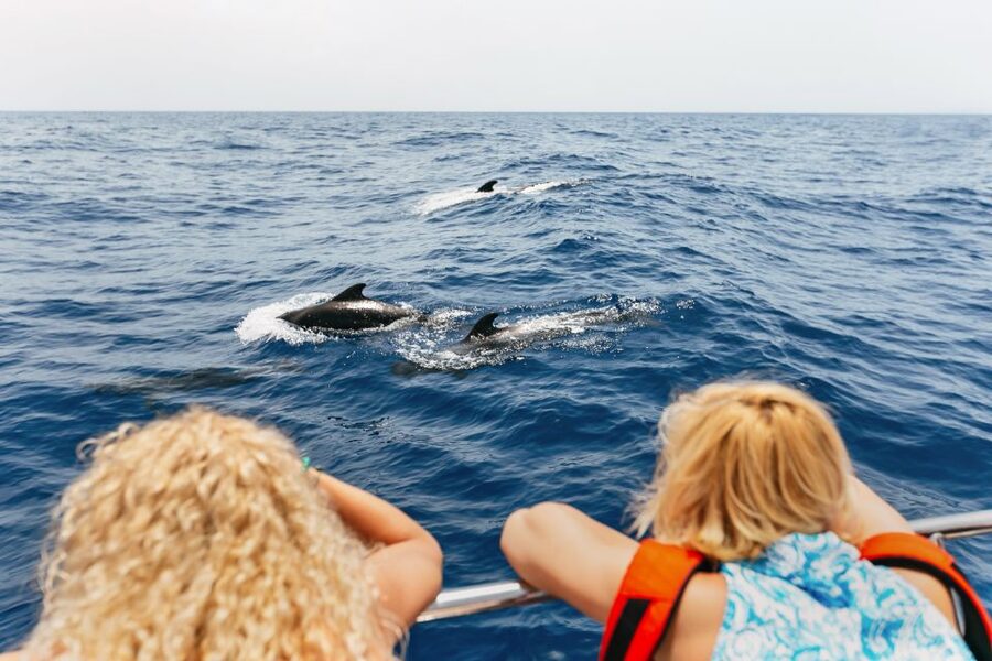 Costa Adeje: Whale Watching Catamaran Tour with Drinks - At a glance