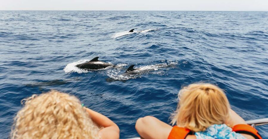 Costa Adeje: Whale Watching Catamaran Tour with Drinks - Leaving Puerto Colón for whale country