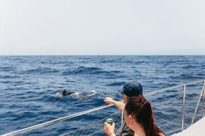 Whale Watching Catamaran Tour with Drinks