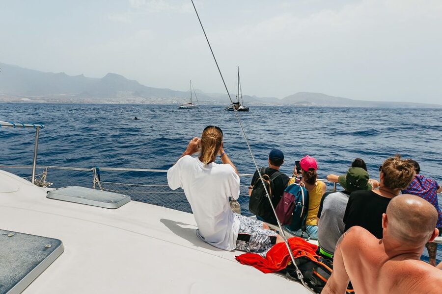 Costa Adeje: Whale Watching Catamaran Tour with Drinks - Choosing two hours or three