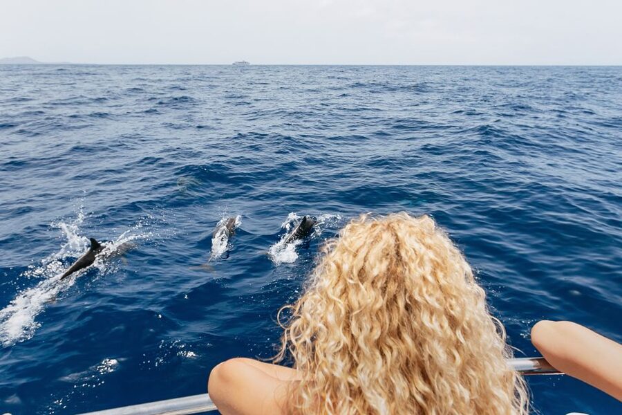 Costa Adeje: Whale Watching Catamaran Tour with Drinks - What the ride feels like