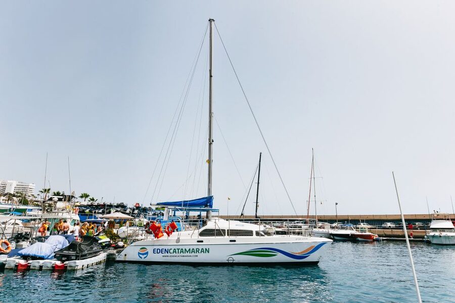 Costa Adeje: Whale Watching Catamaran Tour with Drinks - Drinks, crew, and the small comforts