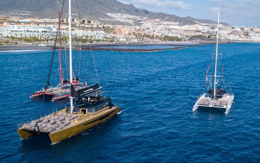 Costa Adeje: Whale Watching Cruise - From Puerto Colón to the open Atlantic