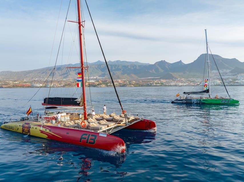 Costa Adeje: Whale Watching Cruise - Searching for pilot whales and dolphins