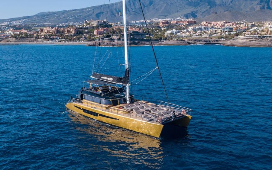 Costa Adeje: Whale Watching Cruise - What the included food and drinks are really worth