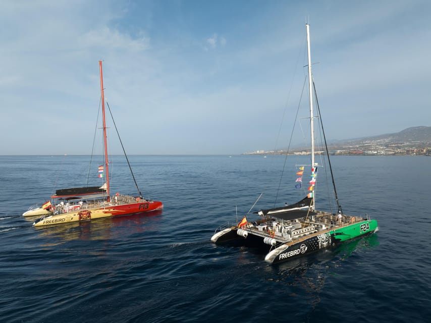 Costa Adeje: Whale Watching Cruise - Is this the right Tenerife boat trip for you?