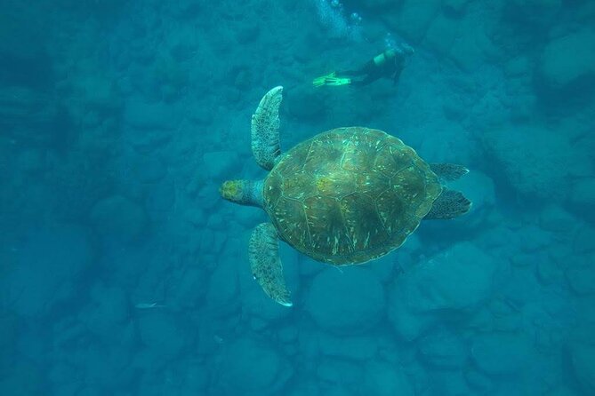 Discover Scuba Diving in Tenerife - At a glance
