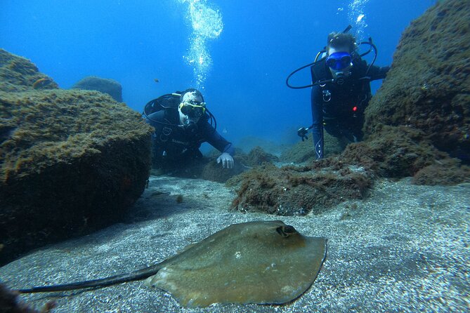 Discover Scuba Diving in Tenerife - What the $78.64 price covers