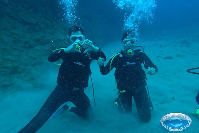 Discover Scuba Diving in Tenerife - A small-group outing, not a full-day commitment