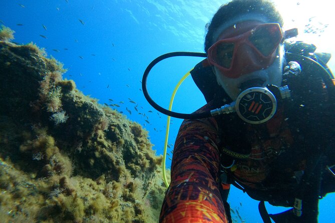 Discover Scuba Diving in Tenerife - Before and after your session