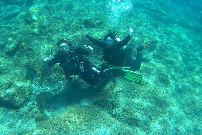 Discover Scuba Diving in Tenerife - Should you book it?