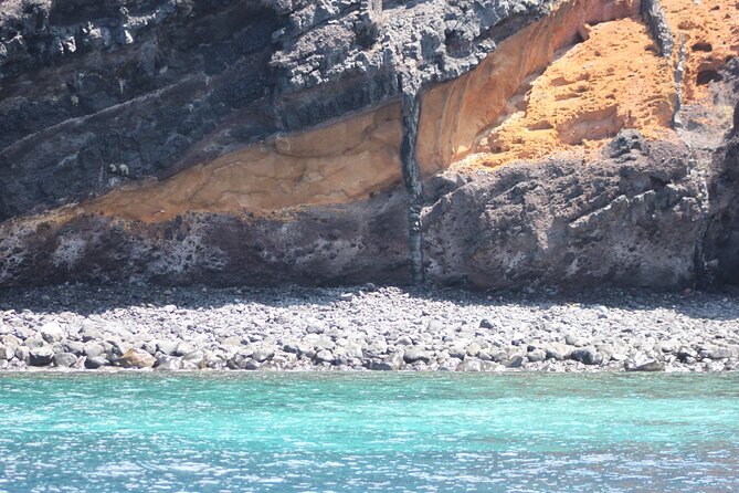 Dolphin and Whale Sailing Tour in Los Gigantes - Snacks, drinks, and the small-boat trade-off