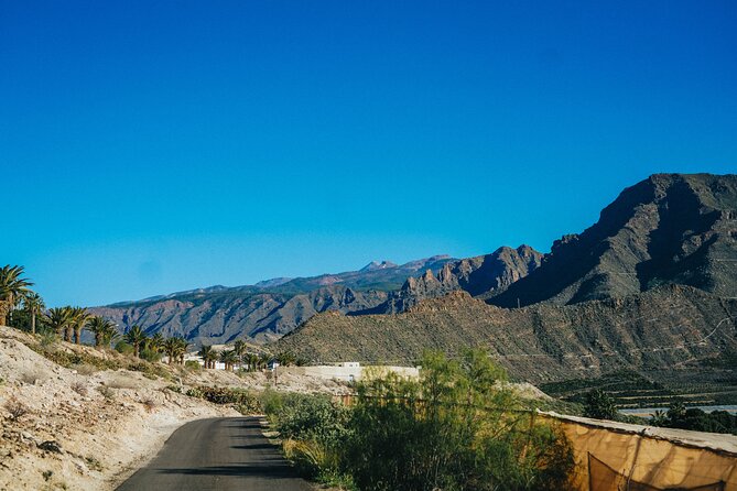 Double Tuk Tuk Tour in Costa Adeje - La Caldera and the banana fields