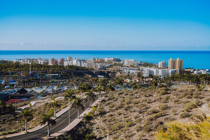 Double Tuk Tuk Tour in Costa Adeje - What two hours and $45.97 buy you