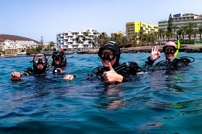 First Dive Experience in Tenerife - Should you book this Tenerife scuba introduction?