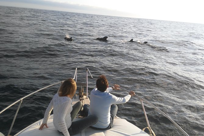 Fishing trip, Tenerife Sea Passion - What a good day can bring, and what it cannot