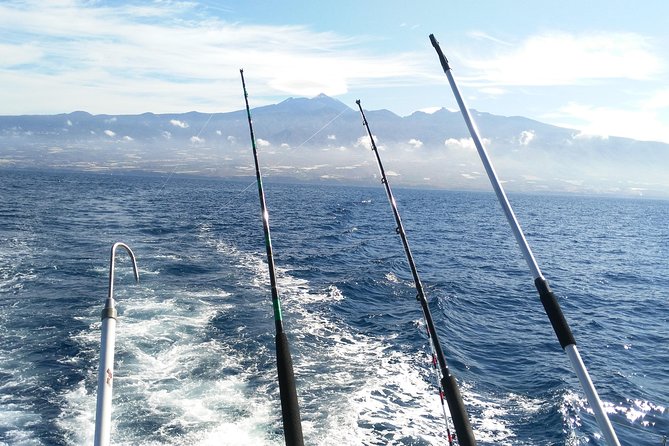 Fishing trip, Tenerife Sea Passion - Should you book Sea Passion?