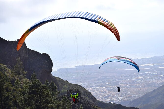 FlyTenerife Paragliding Flight - Should you book FlyTenerife?