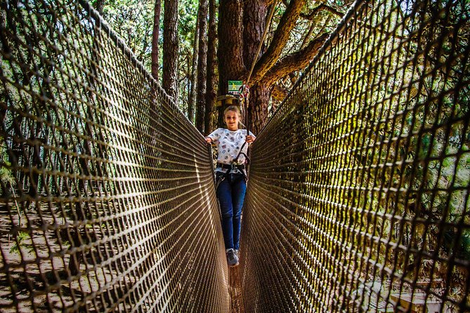 Forestal Park Tenerife Entrance Ticket - What the setting does, and does not, add