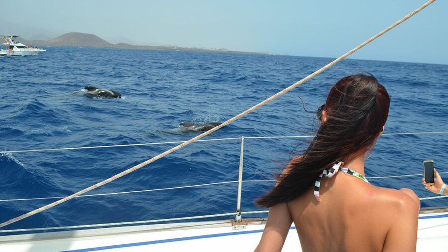 From Los Gigantes: Whale Watching Sailboat Cruise - Tapas on board, with the practical details