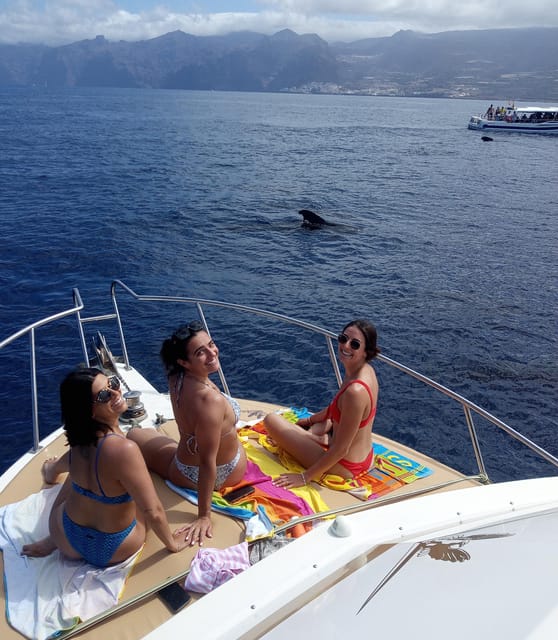 From Playa San Juan: Whale Watching, Gigantes, and Masca Bay - Is $94 fair value?