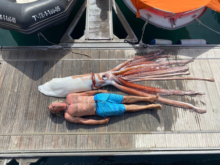 From Playa San Juan: Whale Watching, Gigantes, and Masca Bay - Should you book the Playa San Juan cruise?