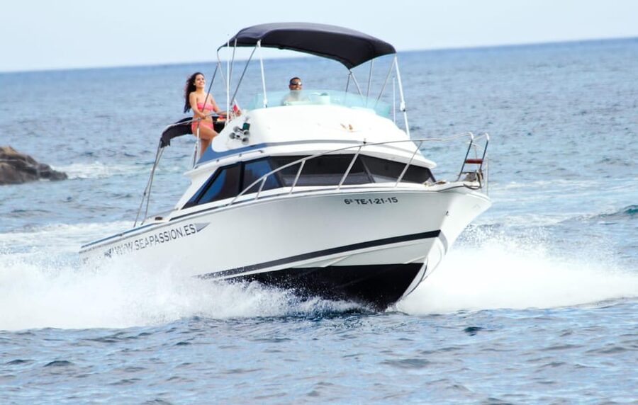From Playa San Juan: Whale Watching, Gigantes, and Masca Bay - Who will enjoy this trip most