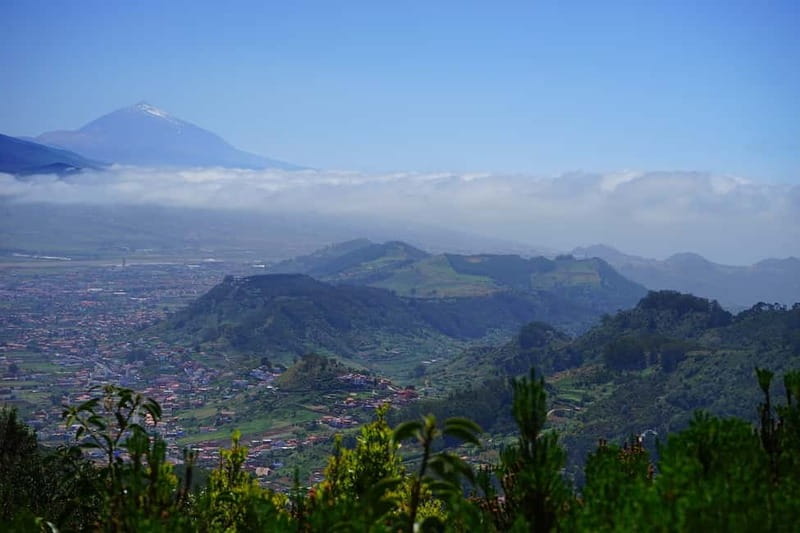 From Puerto de La Cruz: VIP Tour Around Anaga and La Laguna - A compact group and a guide who sets the tone
