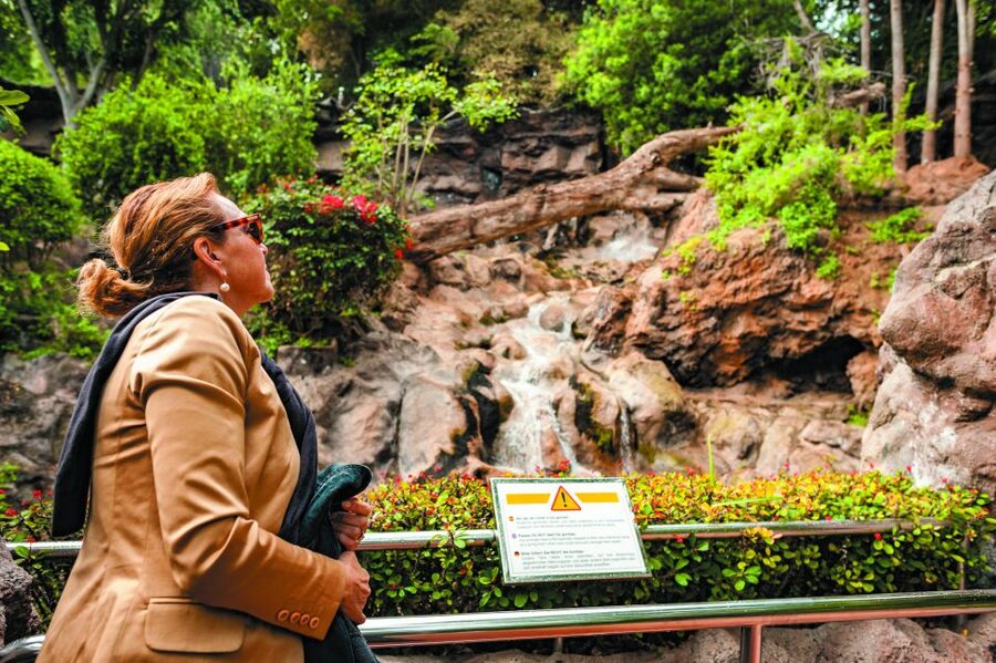 From South Tenerife: Loro Park Zoo Ticket & Hotel Transfers - FAQ