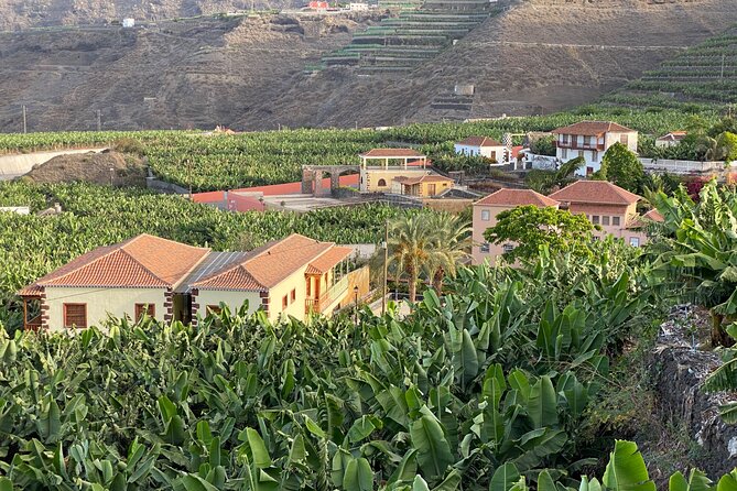 From Tenerife: Tajogaite Volcano, La Cumbrecita and Casco Antiguo - The coach route and the value of a local guide