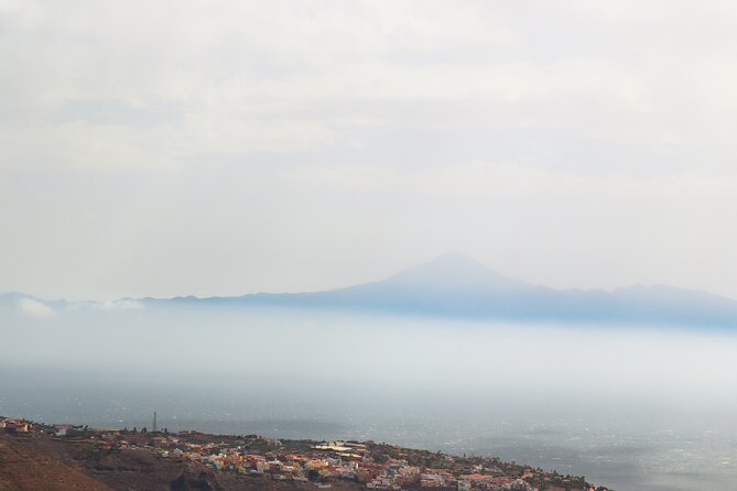Full-day Bus Tour to La Gomera Island with Professional Guide - Is $103.92 good value for a day out?