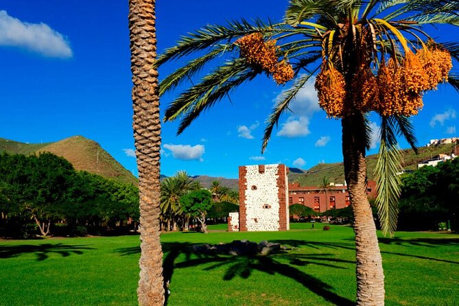 Full-day Bus Tour to La Gomera Island with Professional Guide - Garajonay’s cloud forest is the day’s great contrast