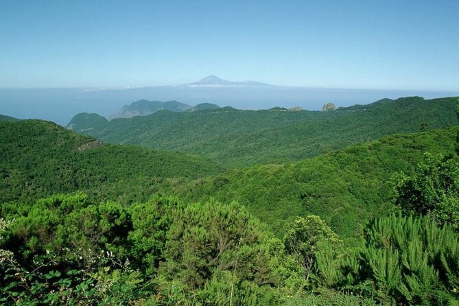 Full Day Guided Tour to La Gomera from Tenerife - Agulo and lunch in the northern hills