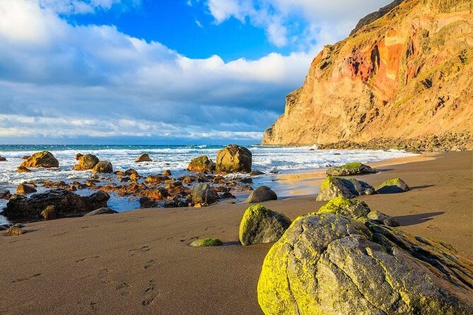 Full Day Guided Tour to La Gomera from Tenerife - Guide commentary, group size, and comfort