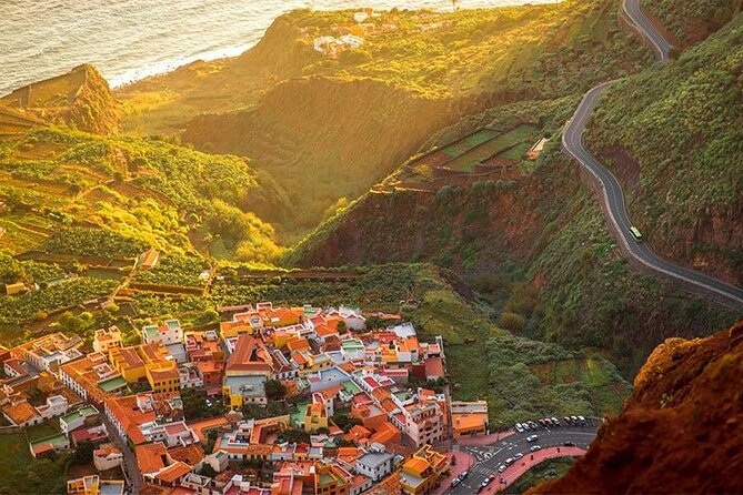 Full Day Guided Tour to La Gomera from Tenerife - Is this La Gomera day trip right for you?