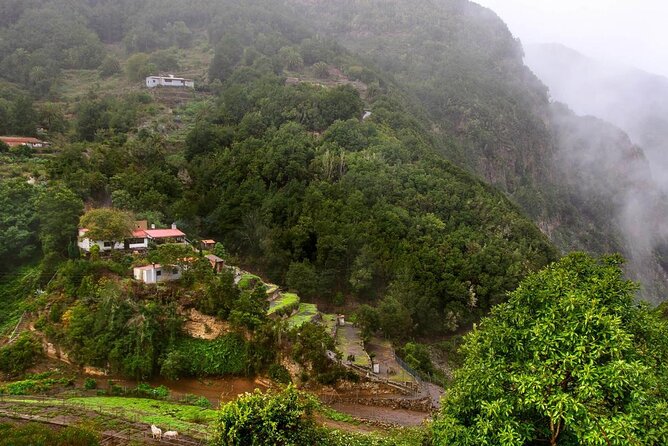 Full Day Guided Tour to La Gomera from Tenerife - Roque de Agando and the island’s volcanic bones
