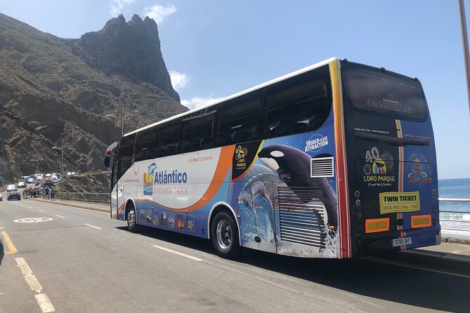 Full day tour visiting Santa Cruz, La Laguna and Anaga - Santa Cruz: a quick look at the capital