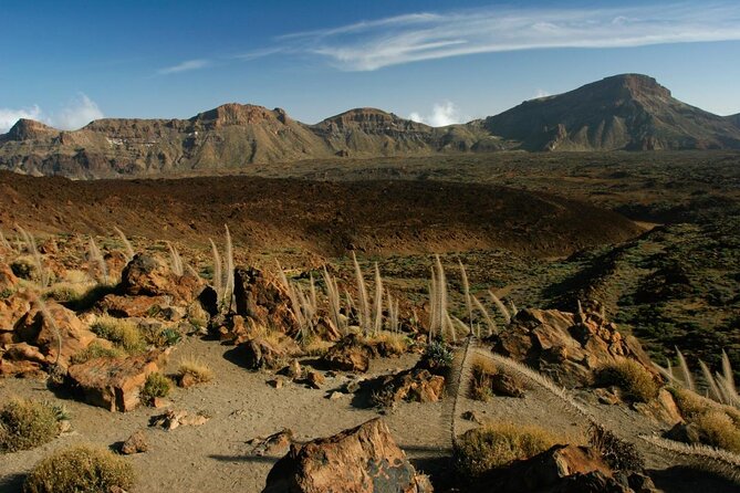 Get to know the Teide National Park and the north of Tenerife on a private tour - A private drive into Teide country