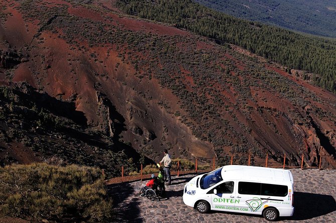 Get to know the Teide National Park and the north of Tenerife on a private tour - Lunch with local food, and a bill to check