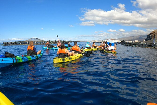 Guided Kayak Tour From Los Cristianos Beach Tenerife - Leaving Los Cristianos Beach by kayak